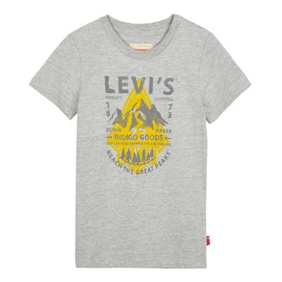 Boys' grey mountain print t-shirt